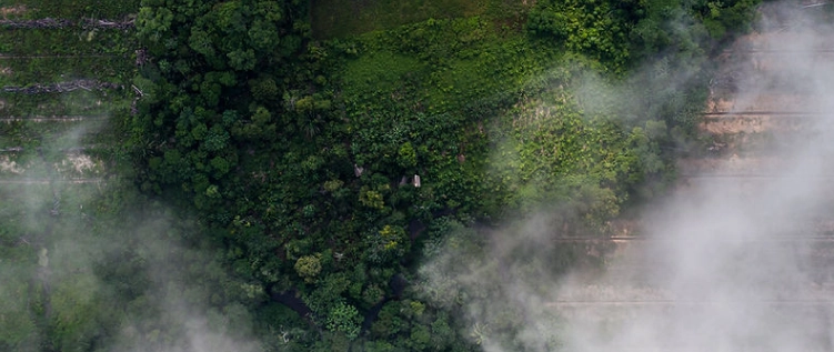 Amazonia Impact Ventures